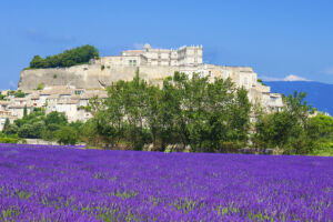 Vue du château de Grignan avec champ de lavandes