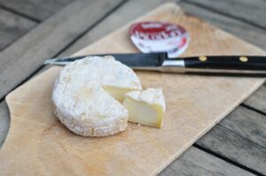 Picodon, fromage de chèvre, spécialité de Drôme-Ardèche