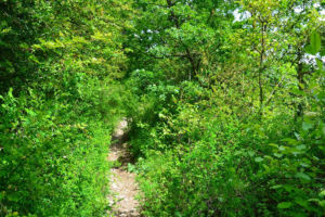 départ de la randonnée du Pont des Sarrasins à Châteaudouble